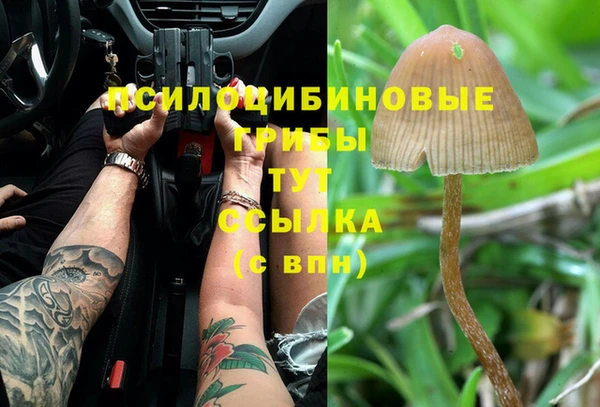 не бодяженный Абинск