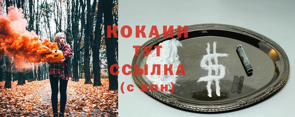 мяу мяу мука Абаза