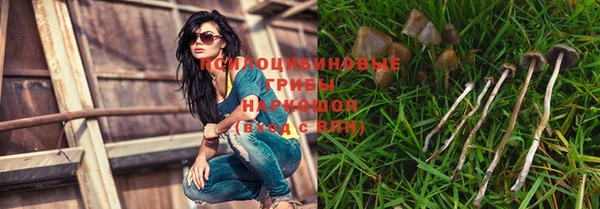 трава Ростов
